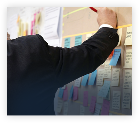 Interim Executive